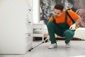 pest control